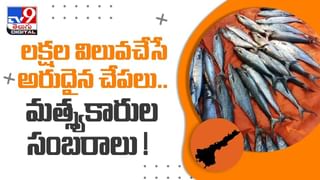 Viral Video: గుడ్ల నుంచి పాము పిల్లలు బయటకు రావడం ఎప్పుడైనా చూశారా.. అయితే ఓ లుక్ వేయండి..  వీడియో