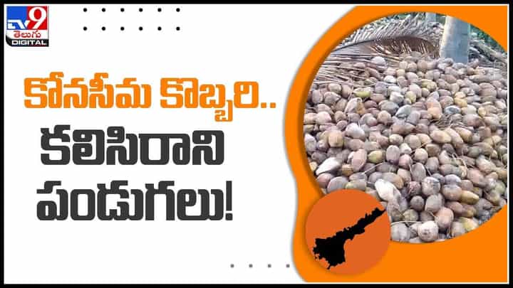 Konaseema Coconut Farmers: తీవ్ర అసహనంలో కోనసీమ కొబ్బరి రైతులు.. కలిసిరాని పండుగలు..!(వీడియో) Konaseema Coconut Farmers: తీవ్ర అసహనంలో కోనసీమ కొబ్బరి రైతులు.. కలిసిరాని పండుగలు..!(వీడియో)