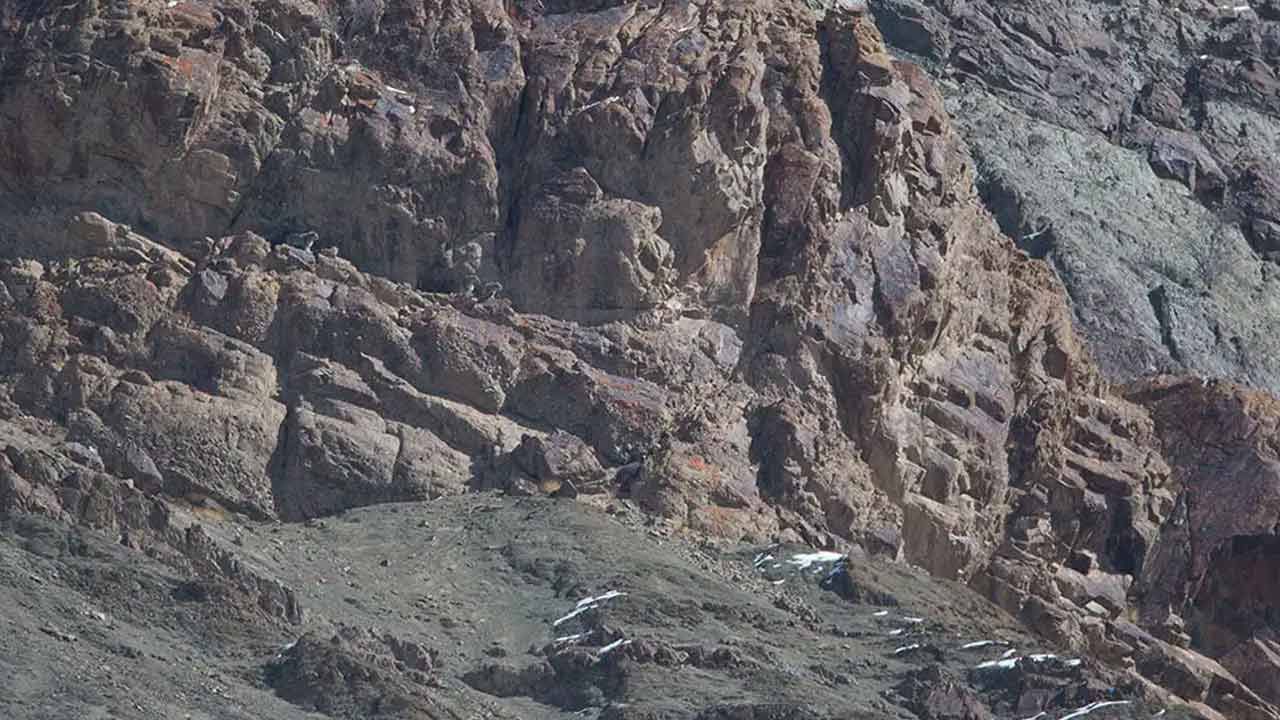 Viral Photo: ఈ కొండపై చిరుతలు దాగున్నాయి.. అవెక్కడ ఉన్నాయో కనిపెట్టడం కష్టమే.. మీరూ లుక్కేయండి!