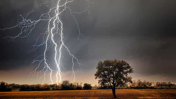 Telangana Rains: ఉమ్మడి ఆదిలాబాద్ జిల్లాలో పిడుగుల బీభత్సం.. గంట వ్యవధిలో 4 చోట్ల.. నలుగురు మృతి