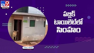Viral Video: దొంగకే షాకిచ్చిన మహిళ.. టెక్నాలజీతో చెక్‌.. వీడియో