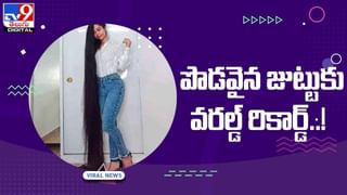 Viral Photos: ఈ ఫోటోలలో చిరుతలను గుర్తించండి.. కనిపెట్టడం కష్టమే.. అంత ఈజీ కాదండోయ్!