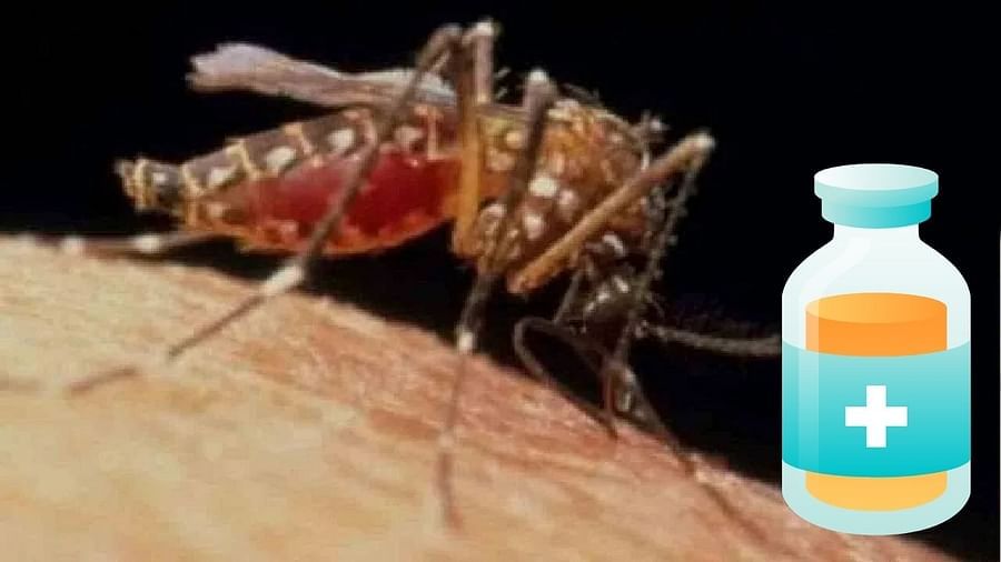 Malaria Vaccine: ప్రపంచంలో మొట్టమొదటి మలేరియా వ్యాక్సిన్.. పిల్లల కోసం ఆమోదించిన WHO