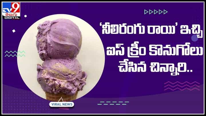 Blue Stone-ICE Cream: ‘నీలిరంగు రాయి’ ఇచ్చి ఐస్ క్రీం కొనుగోలు చేసిన చిన్నారి.. కట్ చేస్తే సీన్ రివర్స్.. (వీడియో) Blue Stone-ICE Cream: ‘నీలిరంగు రాయి’ ఇచ్చి ఐస్ క్రీం కొనుగోలు చేసిన చిన్నారి.. కట్ చేస్తే సీన్ రివర్స్.. (వీడియో)