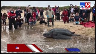 Sachin Tendulkar-Leg-spinner Viral Video: బాలుడి స్పిన్‌కు.. సచిన్‌ టెండూల్కర్‌ ఫిదా..! వీడియో షేర్ చేసి ప్రశంసలు వెల్లువ.. (వీడియో)