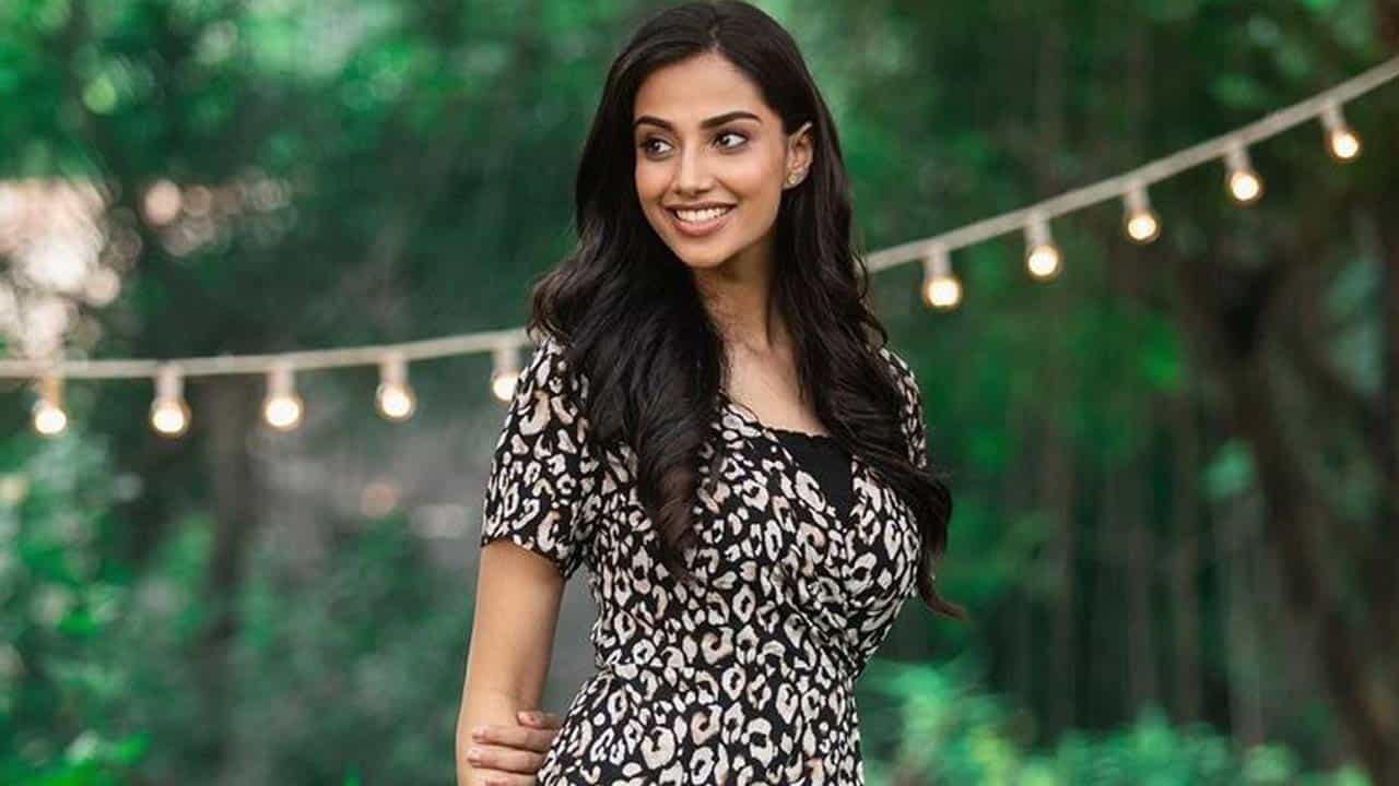 సుశాంత్ నటించిన ఇచ్చట వాహనములు నిలుపరాదు సినిమాలో మీనాక్షి నటనకు మంచి మార్కులు పడ్డాయి.