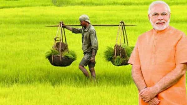 Modi Government: దసరా పండుగ వేళ రైతులకు గుడ్ న్యూస్ చెప్పిన కేంద్రం...