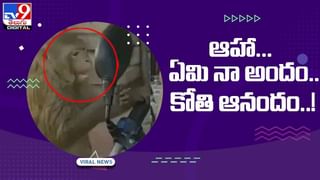 Viral Video: చిరుత Vs పైథాన్.. పోరు మాములుగా లేదుగా.. చివరికి గెలిచిందెవరంటే.?