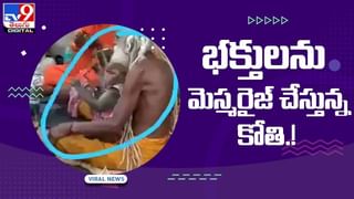 Viral Video: భారీ మొసలి కడుపులో 5వేల ఏళ్లనాటి బాణం.! వీడియో