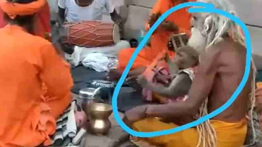 Viral Video: దేవుడి భక్తిలో లీనమైన కోతి.. ఏం చేసిందో చూస్తే ఆశ్చర్యపోతారు.. నెట్టింట్లో వైరలవుతోన్న వీడియో