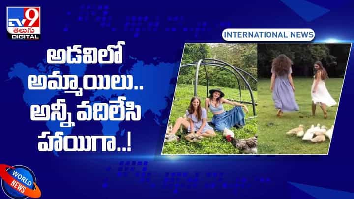 Viral Video: అడవిలో అమ్మాయిలు.. అన్నీ వదిలేసి హాయిగా.. వీడియో Viral Video: అడవిలో అమ్మాయిలు.. అన్నీ వదిలేసి హాయిగా.. వీడియో