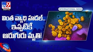 Viral Video: వామ్మో..180 బోగీలతో 2.06 కిలోమీటర్ల పొడవుతో రైలు.. వీడియో చూస్తే షాకే..