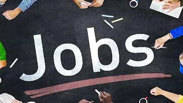 NFL Recruitment 2021: నిరుద్యోగులకు శుభవార్త.. నేషనల్ ఫెర్టిలైజర్స్లో ఉద్యోగాలు.. అటెండర్తో సహా అన్ని పోస్టులు..