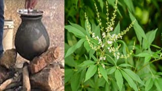 బీరు, బ్రాంది తాగేవారికి ఈ సంగతి తెలుసా..! ఇప్పటి నుంచైనా పట్టించుకోండి లేదంటే ఆస్పత్రికే..