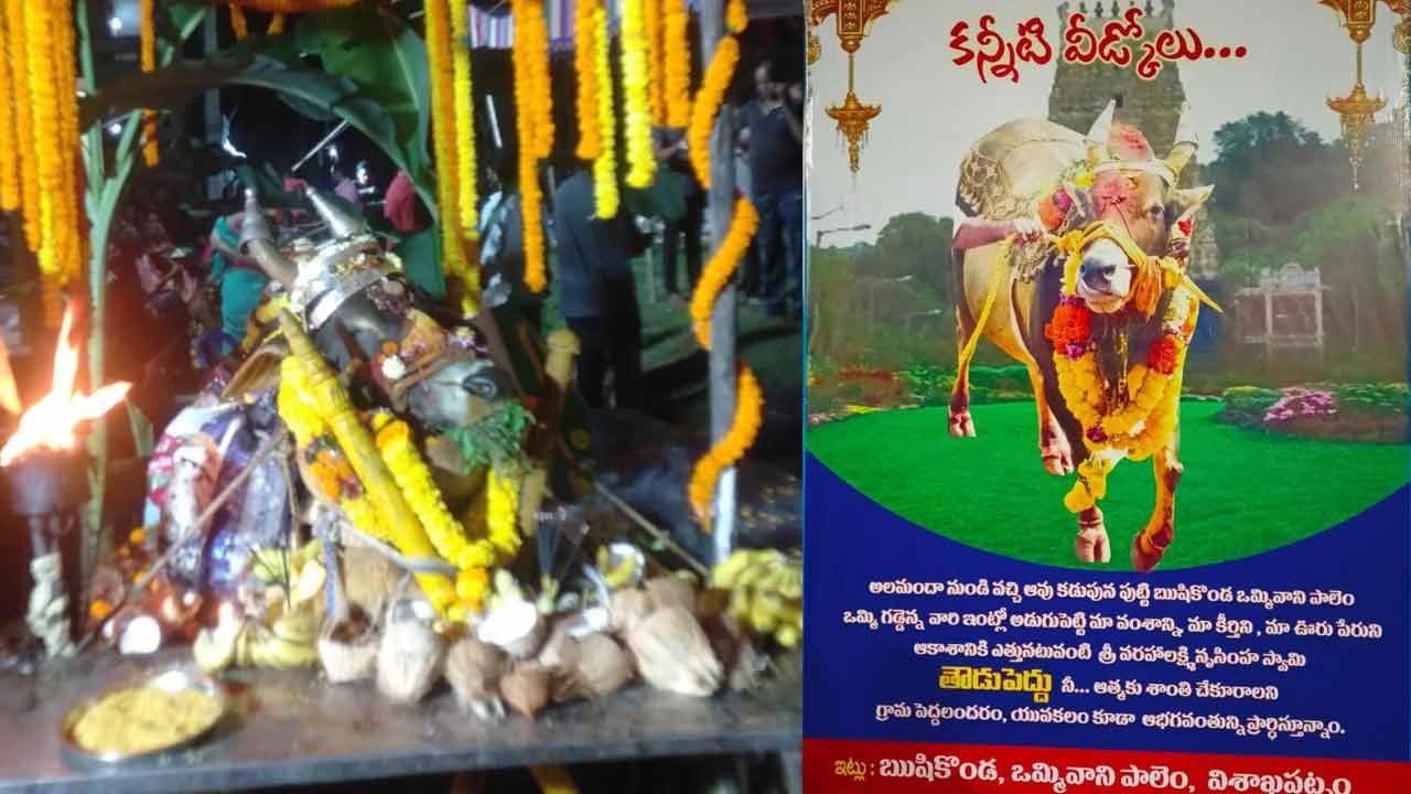 Ox Died: గ్రామాన్ని తీవ్ర విషాదంలోకి నెట్టిన ఎద్దు మరణం.. రాత్రంతా జాగరం ఉంటూ..