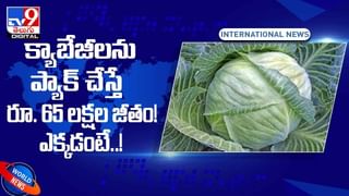 ప్రపంచంలోనే నిజాయతీ కలిగిన నగరాలు.. రెండో స్థానంలో ముంబై.. వీడియో