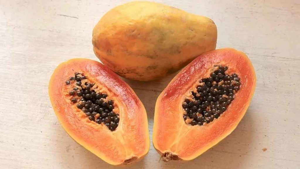 Health Benefits: బొప్పాయితో ఇన్ని ఆరోగ్య ప్రయోజనాలా?.. షాకింగ్ విశేషాలు మీకోసం.. Health Benefits: బొప్పాయితో ఇన్ని ఆరోగ్య ప్రయోజనాలా?.. షాకింగ్ విశేషాలు మీకోసం..