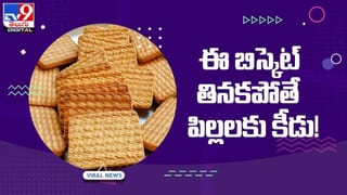 Viral Video: ఒక్క ఆడపాము కోసం పోటీపడ్డ మూడు పాములు.. నెట్‌లో వైరల్‌గా మారిన స్నేక్‌ ఫైట్‌ వీడియో