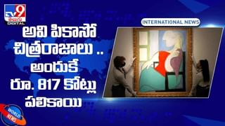 అందమైన ఈ తోటను ముట్టుకుంటే ప్రాణాలు గాల్లోనే..! వీడియో