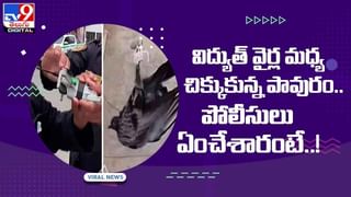 పాక్ మహిళతో మిలటరీ ఉద్యోగి వాట్సప్ చాటింగ్..  వెలుగులోకి షాకింగ్ విషయాలు.. వీడియో