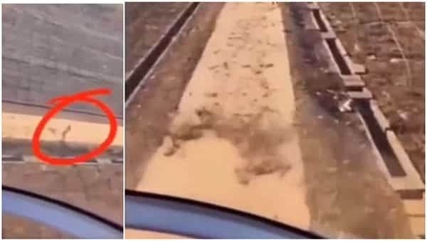 Viral Video: మనసుంటే మార్గం ఉంటుంది.. రోడ్డుపైన వ్యక్తికి హెలికాప్టర్తో సాయపడిన పైలట్.. గుండెను పిండేసే వీడియో