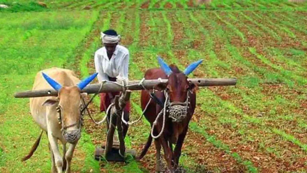 PM Kisan: రైతులకు అలర్ట్.. వీరికి పీఎం కిసాన్ స్కీమ్ కింద డబ్బులు రావు.. ఎందుకంటే..! PM Kisan: రైతులకు అలర్ట్.. వీరికి పీఎం కిసాన్ స్కీమ్ కింద డబ్బులు రావు.. ఎందుకంటే..!