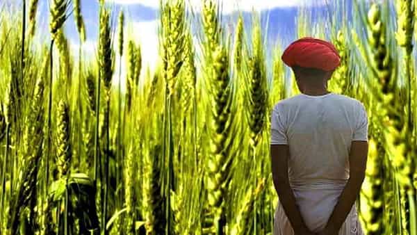 pm kisan: ఈ రైతుల ఖాతాలో రూ.6000 పడటం లేదు.. అసలు వీరు చేసిన తప్పేంటో తెలుసా..?