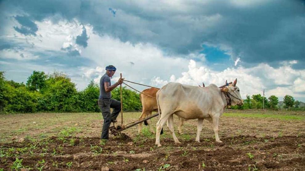 PMFBY: ప్రధానమంత్రి బీమా యోజన తాజా అప్‌డేట్.. ఈ 3 రాష్ట్రాల రైతులు గరిష్ట ప్రయోజనం పొందారు.. ఎలాగంటే..?