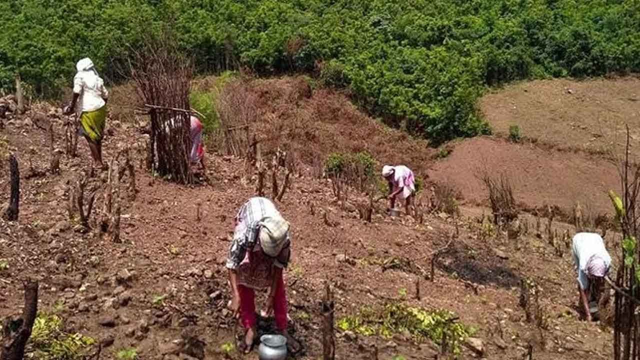 Telangana: పోడు రైతులకు గుడ్ న్యూస్.. భూముల సమస్యకు చెక్.. సీఎం ఆదేశాలు