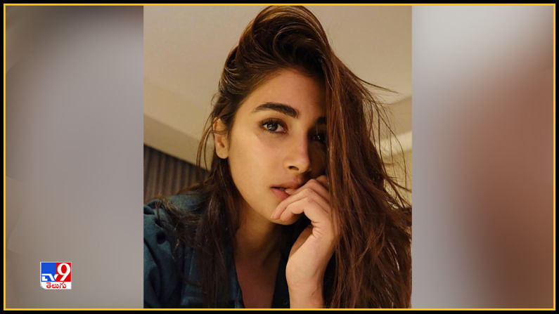 Pooja Hegde New Photos. Credit by:Pooja Hegde/Instagram