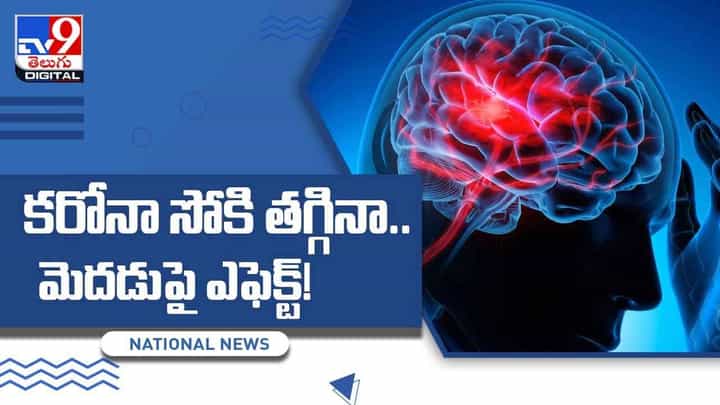 పోస్టు కోవిడ్ లక్షణాలపై సర్వే.. కరోనా సోకి తగ్గినా.. మెదడుపై ఎఫెక్ట్.. వీడియో పోస్టు కోవిడ్ లక్షణాలపై సర్వే.. కరోనా సోకి తగ్గినా.. మెదడుపై ఎఫెక్ట్.. వీడియో