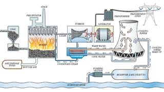 Power Crisis: బొగ్గు కొరతపై ప్రధాని మోడీ సమీక్ష.. ఆందోళన అవసరం లేదన్న కేంద్ర మంత్రి