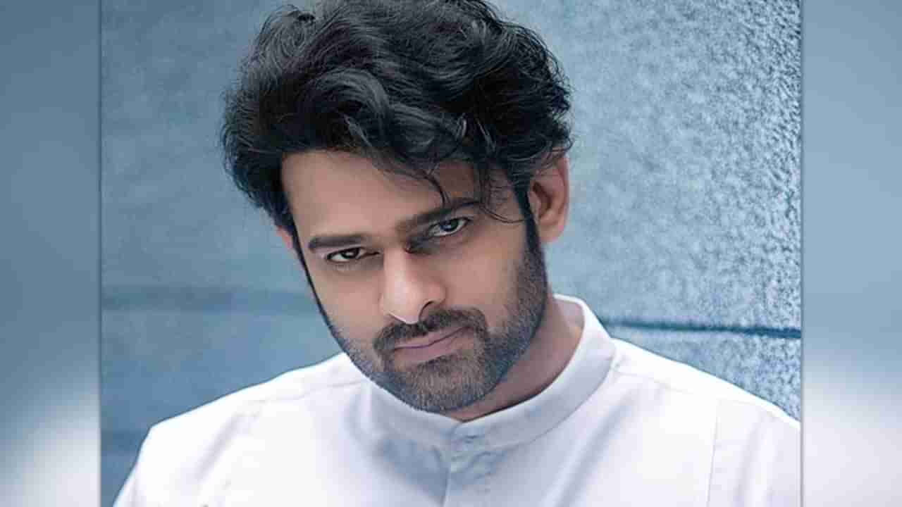 Prabhas: ప్రభాస్ రేంజ్ మాములుగా లేదుగా.. సందీప్ వంగా సినిమాకు దిమ్మతిరిగే రెమ్యునరేషన్... 