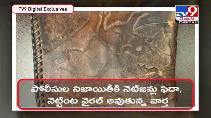 యాభైయ్యేళ్ల క్రితం పోయిన ఫర్స్.. ఇప్పడు దొరికింది.. ఓపెన్ చేసి చూస్తే షాక్.. వీడియో యాభైయ్యేళ్ల క్రితం పోయిన ఫర్స్.. ఇప్పడు దొరికింది.. ఓపెన్ చేసి చూస్తే షాక్.. వీడియో