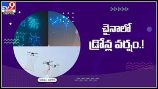 Dubai Sheikh Lion Video: దుబాయ్‌ షేక్‌కు చుక్కలు చూపించిన సింహం పిల్ల..! వైరల్ అవుతున్న వీడియో..