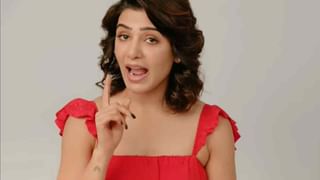 Samantha-NagaChaitanya: ముగిసిన అందమైన ప్రేమకథ.. సమంత-నాగచైతన్య విడాకులపై సురేఖావాణి రియాక్షన్..