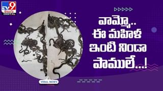 Viral Video: చెంబులో తల పెట్టిన పిల్లి..?  సాయం చేయబోతే షాక్‌..! వీడియో