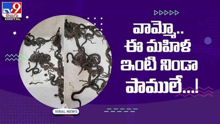పెను ప్రమాదం నుంచి తప్పించుకున్న మహిళ.. ఇంటికింద వందల సంఖ్యలో పాములు.. వీడియో పెను ప్రమాదం నుంచి తప్పించుకున్న మహిళ.. ఇంటికింద వందల సంఖ్యలో పాములు.. వీడియో