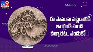 Viral Video: వీడికి భూమ్మీద నూకలున్నాయ్‌.. లేకుంటే క్షణాల్లో ప్రాణాలు గాల్లో కలిసేవి..! వీడియో