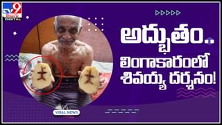 Late Marriage Viral Video: లేటు వయస్సులో పెళ్లి.. ఆయనకు 73…ఆమెకు 26..! సోషల్ మీడియాను షేక్ చేస్తున్న వీడియో..