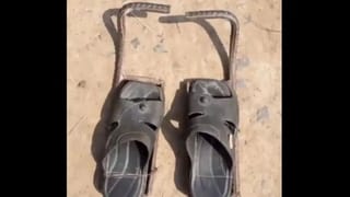 Man Lives Forest: కాకులు దూరని కారడవిలో 17 ఏళ్లుగా జీవిస్తున్నాడు.. షాకింగ్ విషయాలు మీకోసం..