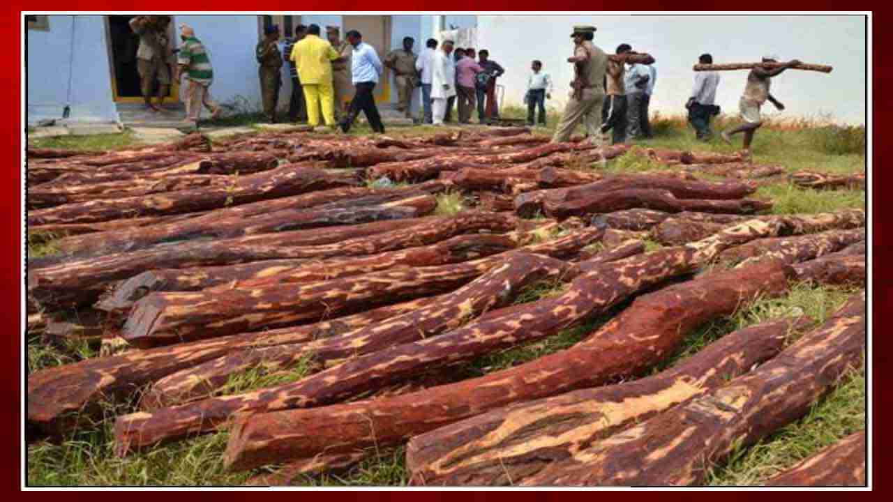 Red Sandalwood Smuggler: దొంగ.. దొంగా దొరికాడు.. ఎర్రచందనం దొంగ స్మగ్లర్‌ రామనాథరెడ్డి దొరికాడు..