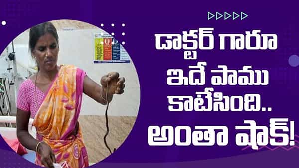 Viral News: కాటేసిన పాముతో ఆస్పత్రికి.. డాక్టర్లు, రోగులు షాక్.. అక్కడ్నుంచి పరార్