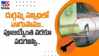 Viral Video: నీ ఆత్మ విశ్వాసానికి హ్యాట్సాఫ్ సోదరా.. వీడియో