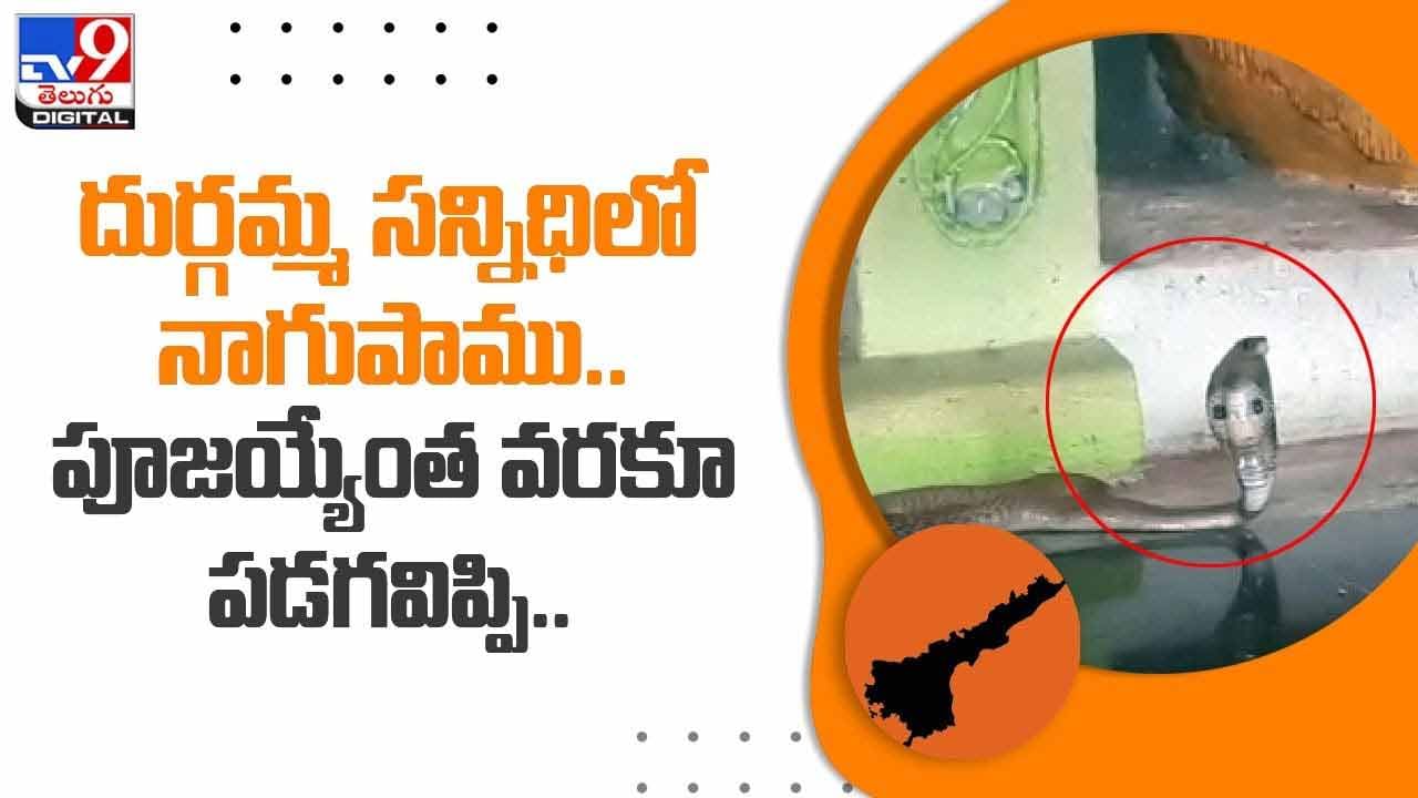 Viral Video: దుర్గమ్మ సన్నిధిలో నాగుపాము.. పూజయ్యేంత వరకూ పడగవిప్పి..!! వీడియో