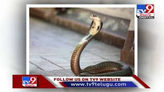 ఈ దొంగకు తొందరెక్కువ.. నెట్టింట నవ్వులు పూయిస్తున్న ఫన్నీ వీడియో