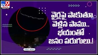 Viral Video: మూడు తలల పాము.. చూస్తే షాక్‌.. నెట్టింట వైరల్‌ అవుతున్న వీడియో.. కానీ అసలు మేటర్ వేరే ఉంది అంట..!