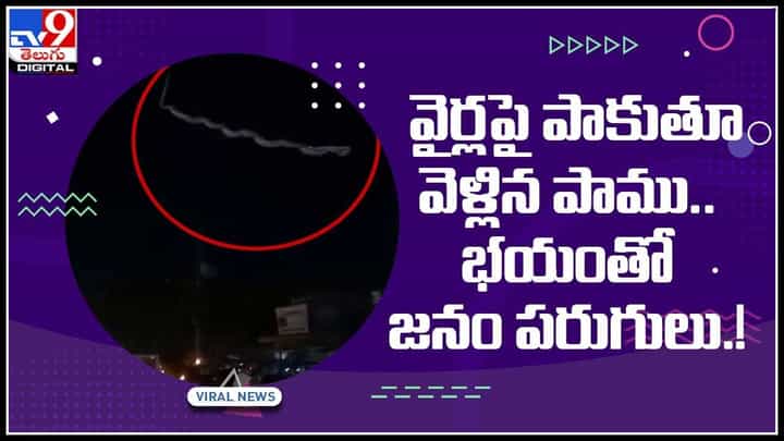 Snake viral video: అమ్మ బాబోయ్.. ఆకాశం నుంచి పడిన భారీ పాము.. సోషల్ మీడియాను షేక్ చేస్తున్న వైరల్ వీడియో.. Snake viral video: అమ్మ బాబోయ్.. ఆకాశం నుంచి పడిన భారీ పాము.. సోషల్ మీడియాను షేక్ చేస్తున్న వైరల్ వీడియో..