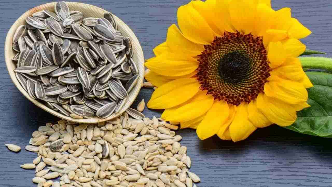 SunFlower Seeds: పొద్దు తిరుగుడు విత్తనాలను ఆహారంతో తీసుకుంటే ఫలితాలు ఎక్కువే.. ఎలాగో తెలుసుకోండి..