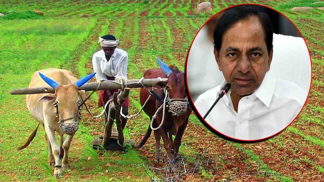 Telangana Farmers: తెలంగాణ రైతులకు ముఖ్యమంత్రి కేసీఆర్‌ గుడ్‌న్యూస్‌.. ధాన్యం సేకరణపై కీలక నిర్ణయం